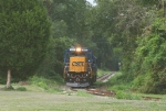 M740 heading for the mine at the end of the tunnel of trees